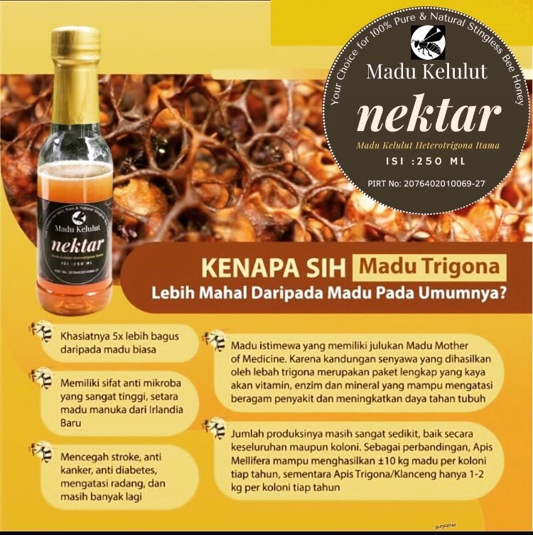 Madu Kelulut 2